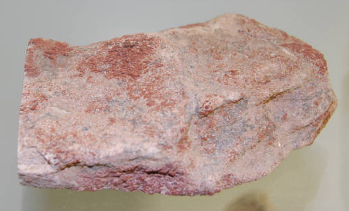 Fossilized bone fragment