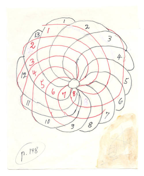 Untitled [pinecone] Overlay of Hand-Drawn Design of Fibonacci Spiral