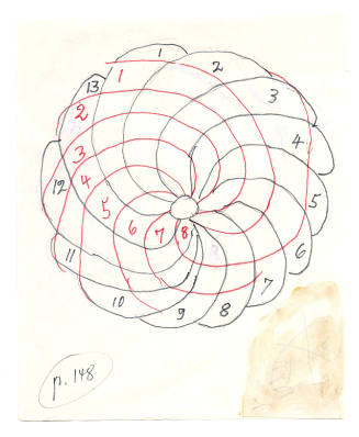 Untitled [pinecone] Overlay of Hand-Drawn Design of Fibonacci Spiral