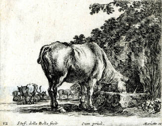 Cow Drinking at a Water Trough, from the series, Diverse Caprices